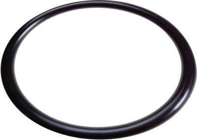 Szűrőház-tömítőgyűrű | 3/4-1-os szűrőházakhoz